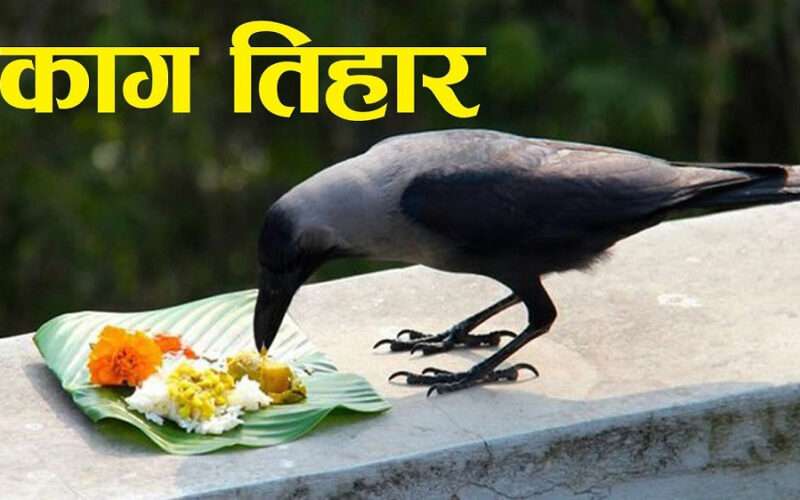 आज काग तिहार