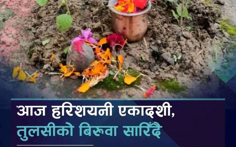 आज हरिशयनी (तुलसी रोप्ने) एकादशी: घर–घरमा तुलसीको मठ सारिँदै, चतुर्मास व्रत आरम्भ, भीमेश्वर मन्दिरमा ब्रतालुको घुइँचो