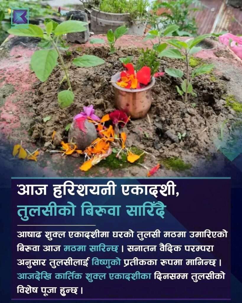 आज हरिशयनी (तुलसी रोप्ने) एकादशी: घर–घरमा तुलसीको मठ सारिँदै, चतुर्मास व्रत आरम्भ, भीमेश्वर मन्दिरमा ब्रतालुको घुइँचो