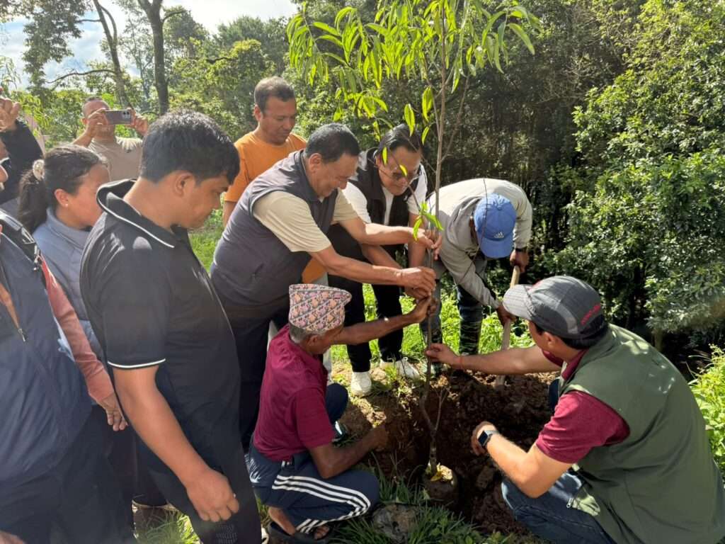 दोलखा–चरीकोट सडकखण्डमा चेरी (Flowering Peach) वृक्षरोपण सम्पन्न, वन संरक्षणमा सबै पक्षको ऐक्यबद्धता