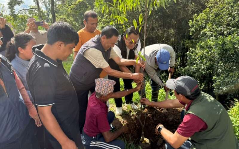दोलखा–चरीकोट सडकखण्डमा चेरी (Flowering Peach) वृक्षरोपण सम्पन्न, वन संरक्षणमा सबै पक्षको ऐक्यबद्धता