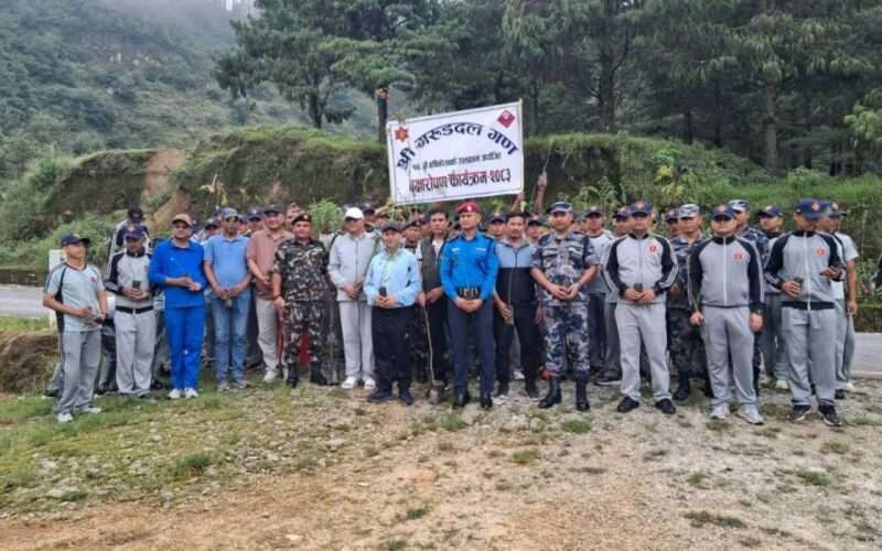 गरुडदल गणको वार्षिकोत्सवमा हरियाली अभियान, चरिकोट–कालिञ्चोक सडकखण्डमा वृक्षारोपण