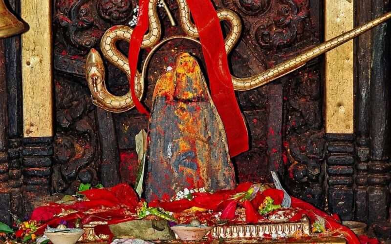 फूलपातीका दिन भीमेश्वर मन्दिरमा २८४ बोका र २४२ भालेको बलि पूजा।